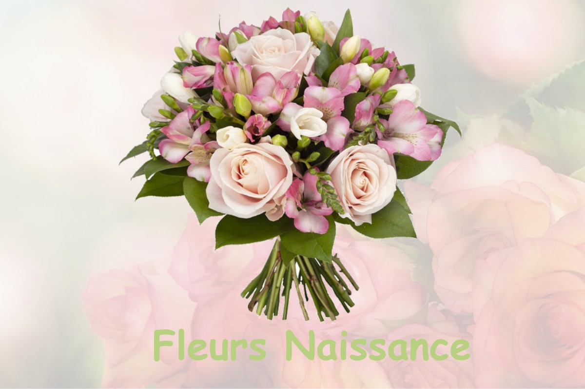 fleurs naissance SAINT-PIERRE-EN-FAUCIGNY